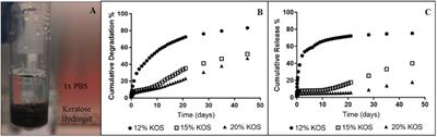 In vitro and in vivo Assessment of Keratose as a Novel Excipient of Paclitaxel Coated Balloons